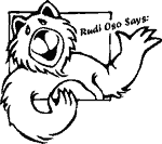 Rudi Oso - the bear